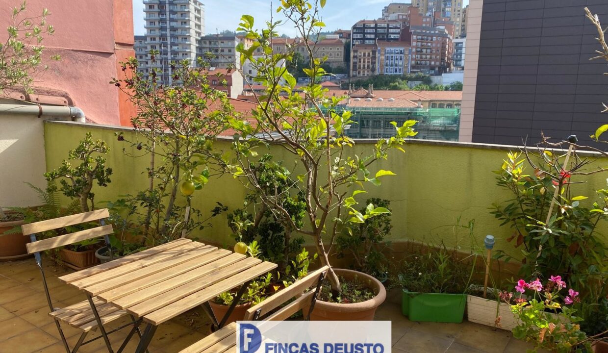 IMG-20250527-WA0015 (1)