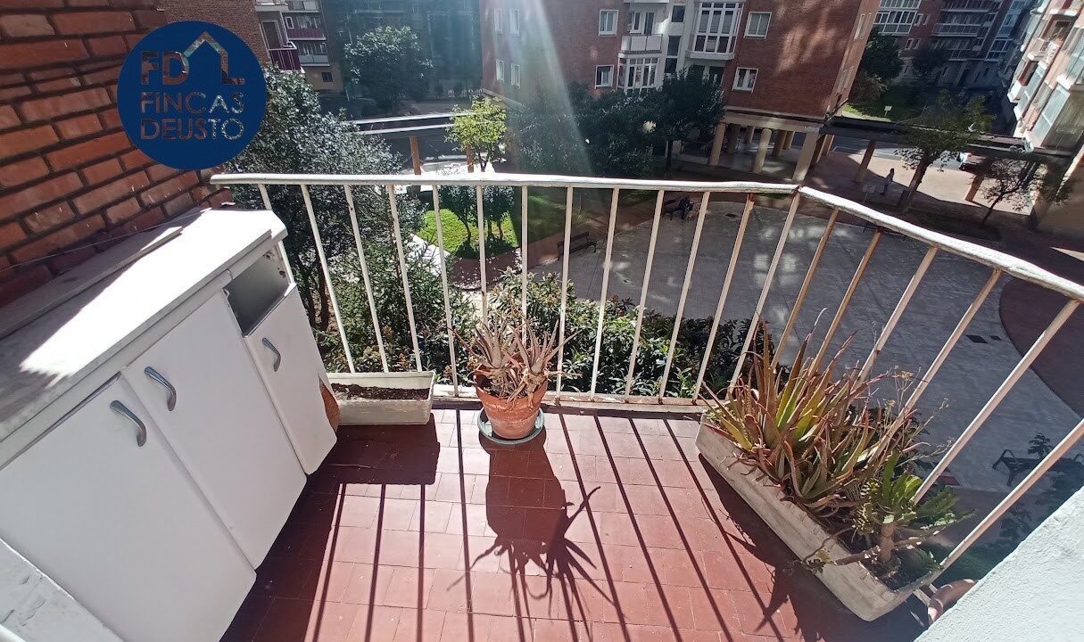 IMG_20251030_124101 - copia